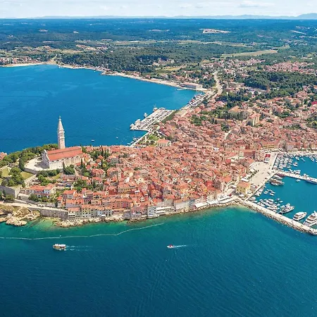 Vakantiehuis Pet Friendly In