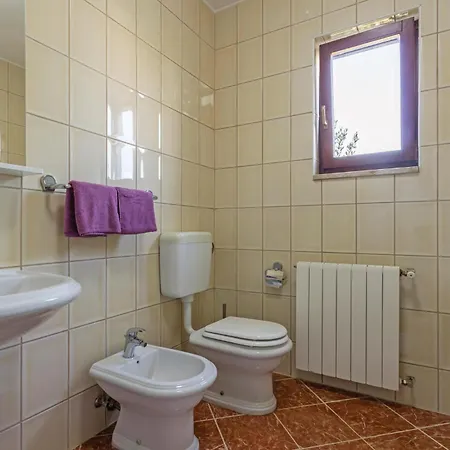 Pet Friendly In *