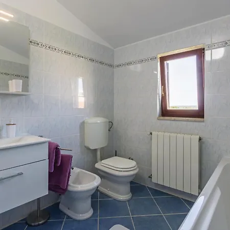 Vakantiehuis Pet Friendly In